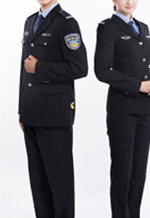 辅警系列